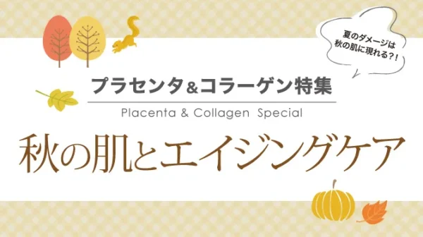 秋の肌とエイジングケア