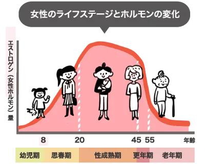 幼児期、思春期、性成熟期、更年期、老年期の女性を示す人物イラストとともに、年齢によるエストロゲン量の変化をピンク色の曲線で表した「女性のライフステージとホルモンの変化」のグラフです。
