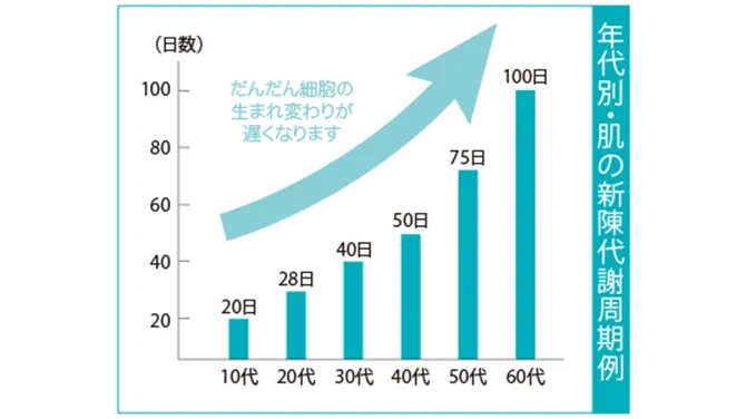 白い背景の棒グラフに10代から60代までの日数が示され、年代とともに肌の生まれ変わりが遅くなる「年代別 肌の新陳代謝周期例」と書かれています。