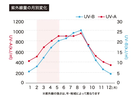 1月から12月までのUV-AとUV-Bの紫外線量の変化を示した折れ線グラフで、どちらも春から上昇し、8月から9月ごろに高くなる傾向が描かれています。「紫外線量の月別変化」と書かれたUVケアの解説画像です。