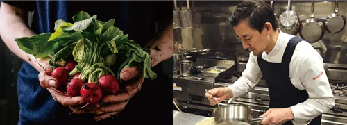 左側に土の付いた赤いラディッシュと葉物野菜を両手で抱える様子、右側に白いシャツと黒いエプロンを着た料理人が厨房で鍋を使って調理する様子を並べた写真です。