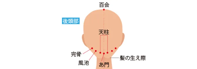 白い背景に後頭部を背面から描いたイラストがあり、ヘアケアの頭皮マッサージで押す百会・天柱・完骨・風池・瘂門などの位置が赤い点で示されています。