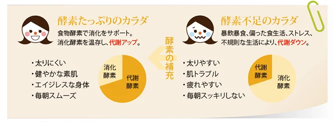 淡いベージュの背景に笑顔と困った表情の女性イラストが並び、酵素が十分な健康な体と酵素不足の体の特徴を箇条書きと円グラフで比較しています。