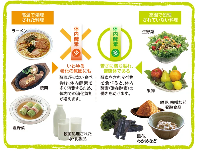 白い背景の左右にラーメンや焼肉などの加熱料理と生野菜や果物、発酵食品などを並べ、体内酵素の消費量と健康への関わりを比較した図です。