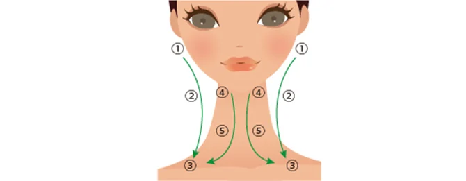 白い背景に女性の顔と首を正面から描いたイラストがあり、あごや頬から首筋を通って鎖骨へ流すマッサージの方向が番号と緑色の矢印で示されています。