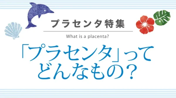 「プラセンタ」ってどんなもの？