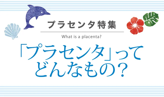 「プラセンタ」ってどんなもの？
