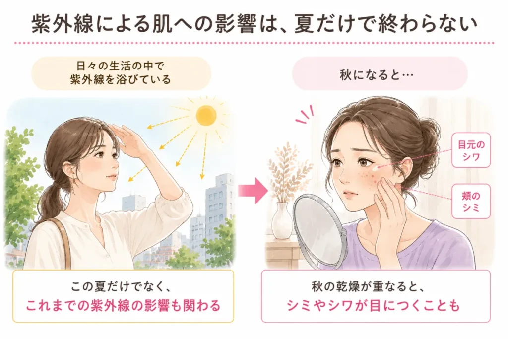 白い背景の左側に屋外で日差しを手で遮る女性、右側に鏡を見ながら頬へ手を添える女性を描き、夏に浴びた紫外線が秋の目元のシワや頬のシミに関わる流れを矢印で示しています。「紫外線による肌への影響は、夏だけで終わらない」と書かれた説明図です。
